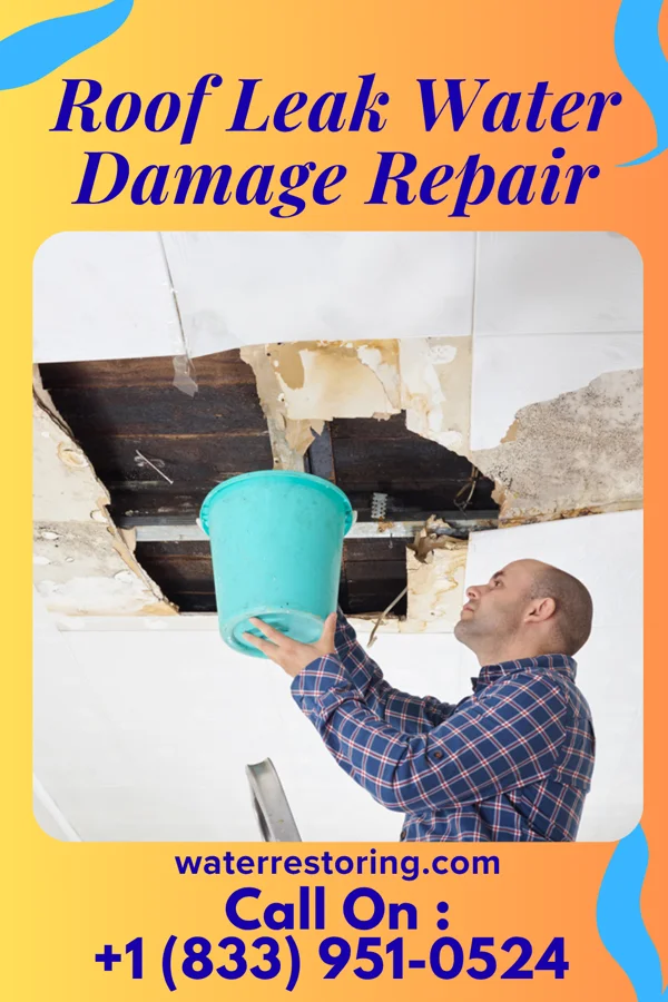 Roof Leak Water Damage Repair in Brooktree Park, ND