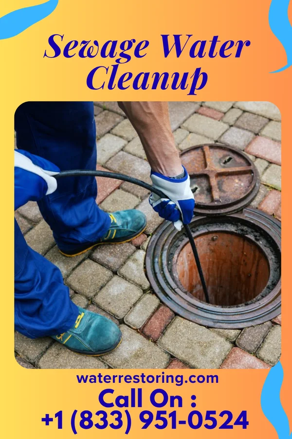 Sewage Water Cleanup in Brooktree Park, ND